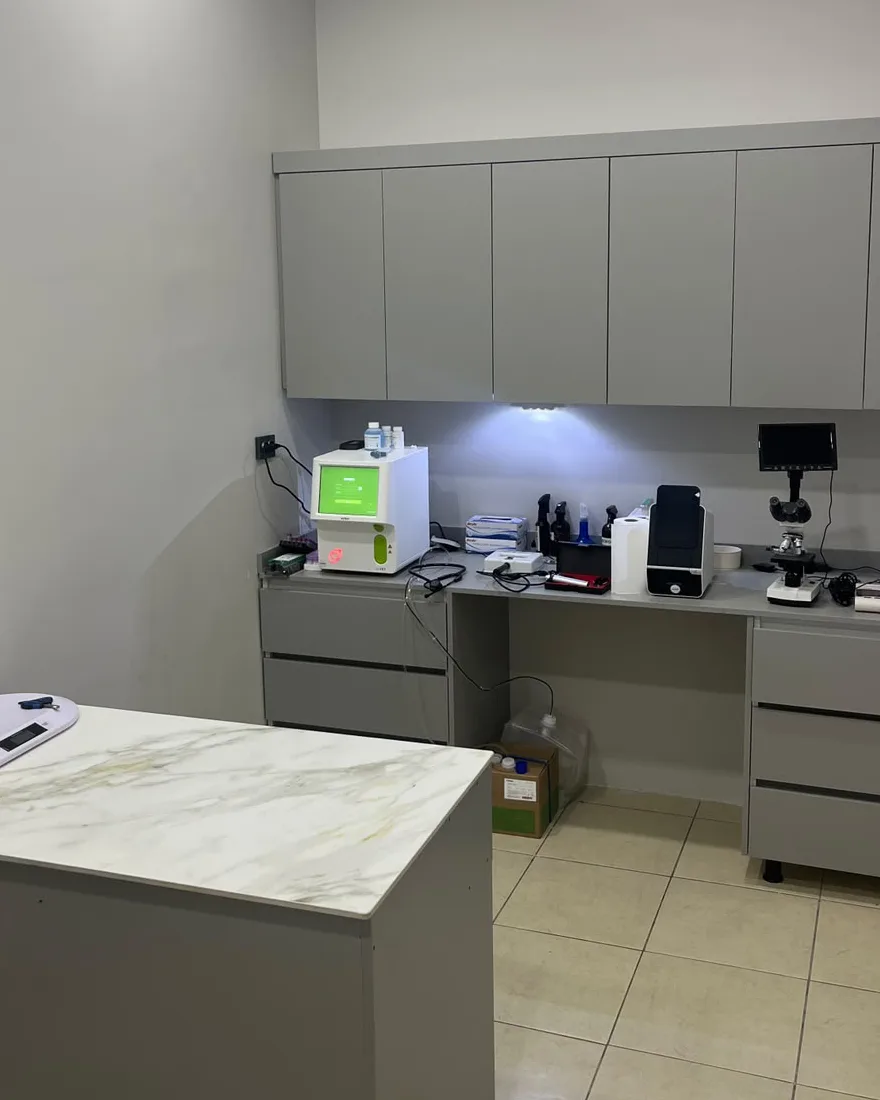 Laboratuvar köşesi: kan sayımı cihazı ve mikroskop