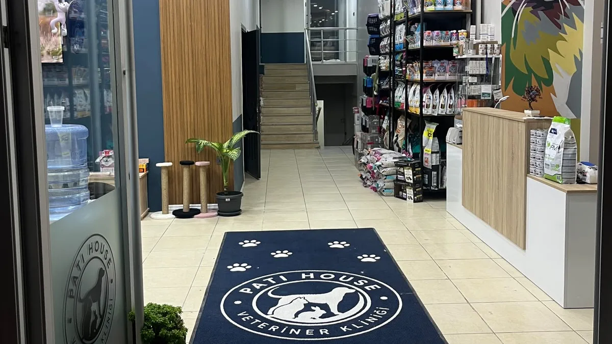Pati House giriş kapısı ve karşılama alanı